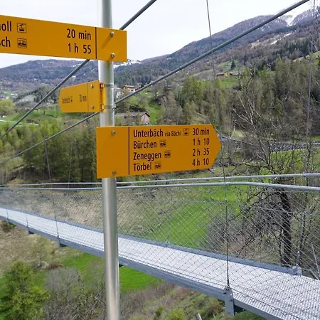 Kır Evi Cash Cow *