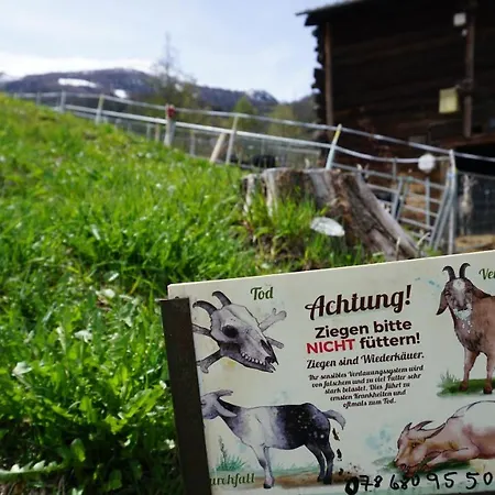 Cash Cow * Unterbäch