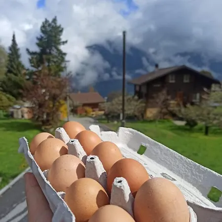 Cash Cow Unterbäch